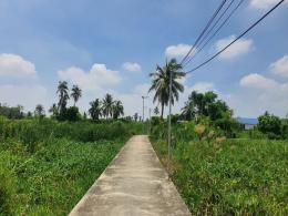 ขายที่ดินเกาะเกร็ด จังหวัดนนทบุรี ที่แปลงสวย เนื้อที่ 2-1-27 ไร่ 