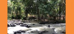 ที่ดินแบ่งขายอำเภอ-หาดใหญ่เหมาะทำบ้านสวน