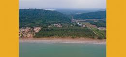 ที่ดินติดทะเลหาดทรายรีอ่าวทุ่งมะขาม