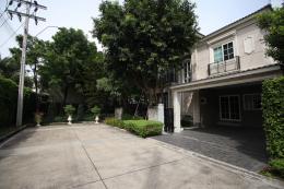 เช่าบ้านเดี่ยว   60 วา ตกแต่งสวยมาก    3-4 ห้องนอน 4 ห้องน้ำ   ใกล้คลับเฮาส์และสระว่ายน้ำ ถนนเกษตรนวมินทร์