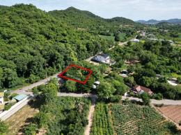 ขายด่วน! ที่ดินพร้อมกิจการคาเฟ่ ร้านกาแฟ สัตหีบ-สุขุมวิท 23 TP-L1181