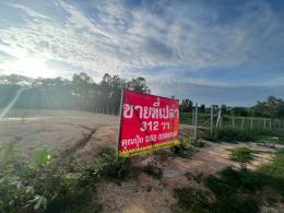 ขายที่หัวหิน ขายที่เปล่านาตาช้าง1 ติดถนนทางหลวงหัวนาทับใต้ 