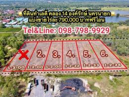 ที่ดินราคาถูก ทำเลดี 100% คลอง 14 องค์รักษ์ จ.นครนายก