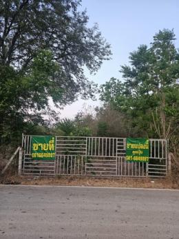 ขายที่เปล่าราชบุรีติดถนนทางหลวงชนบท ใกล้ศูนย์การเรียนรู้เศรษฐกิจพอเพียง