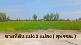 ขายที่ดิน เเบ่งเเปลงขาย ใกล้ตัวเมืองสุพรรณ น้ำไฟ พร้อม 