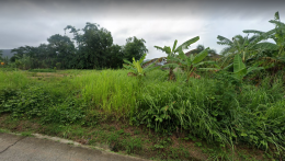 ขายที่โฉนด ปรับพื้นที่แล้ว ซอยไสน้ำเย็น เนื้อที่ 259 ตร.ว.