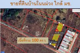ขายที่ดินทำเลทอง! ซอยโนนม่วง ใกล้ มข. เพียงไม่กี่นาที เหมาะสำหรับปลูกบ้าน หอพัก หรือทำธุรกิจเดินทางสะดวก