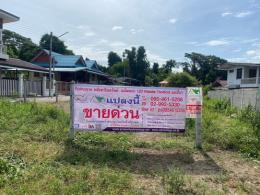 ขายที่ดินเปล่า 200 ตารางวา (โฉนด 2 แปลง) ติดถนนคอนกรีต 2 ด้าน ต.ไม้งาม อ.เมือง จ.ตาก
