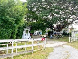 ที่ดินกิจการรีสอร์ท 356 ตร.ว. ต. ไชยสถาน อ.สารภี จ.เชียงใหม่