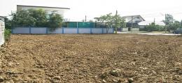 ที่ดินจัดสรรสมุทรสาคร-มหาชัย-ในโครงการหมู่บ้านคุณภาพสูง-