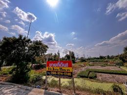 ขายที่ดินยกแปลง หลังโรงถ่ายกันตนา บางใหญ่ จ.นนทบุรี 