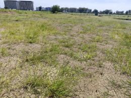 ขายที่ดินเปล่า 1 ไร่ หรือ มากกว่า แบ่งขายได้ โฉนด   แปลง 5-9 ไร่ โฉนด กำแพงแสน ใกล้ มหาลัยเกษตรศาสต์ นครปฐม land on sale Nakhon Pathom