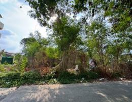 ขายด่วน ที่ดินเปล่า ซอยติวานนท์ 24 แยก 13 อ.เมืองนนทบุรี ที่ดินขนาด 151 ตร.วา ถมแล้ว ผังสีส้ม ใกล้ BTS แคราย เพียง 1.8 กม. 